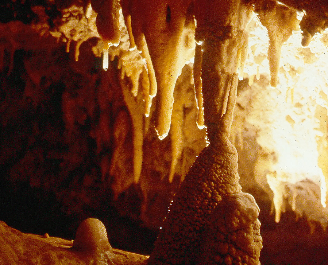 Grotte de la Draye Blanche