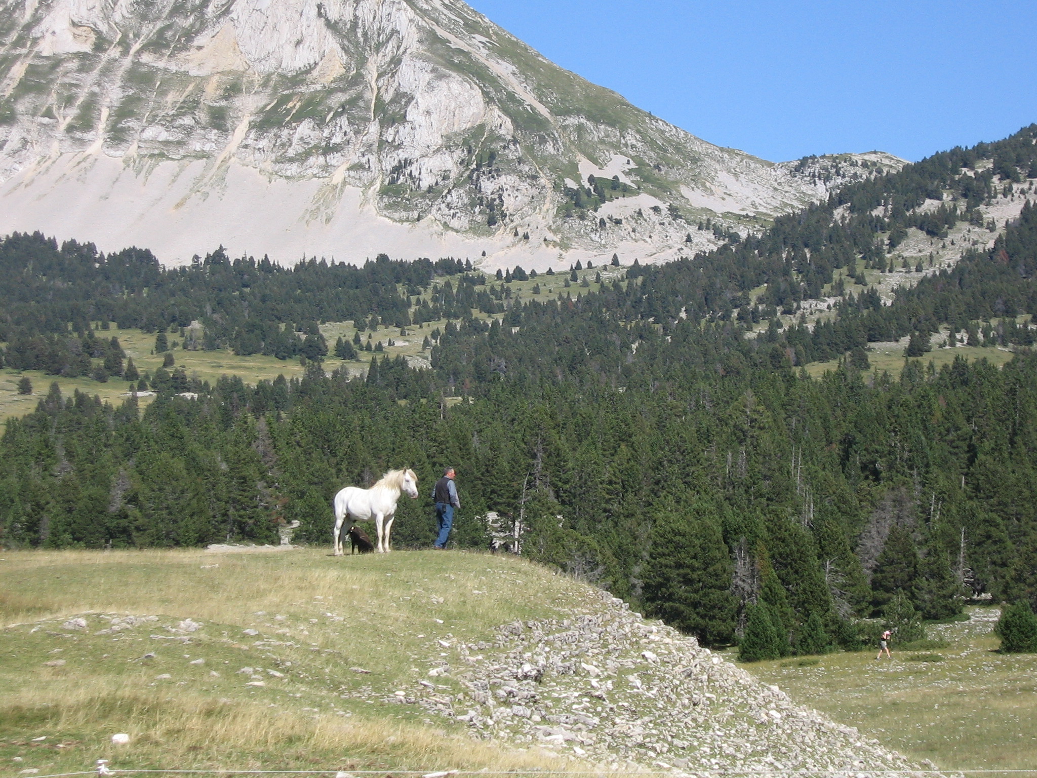 Les Hauts plateaux