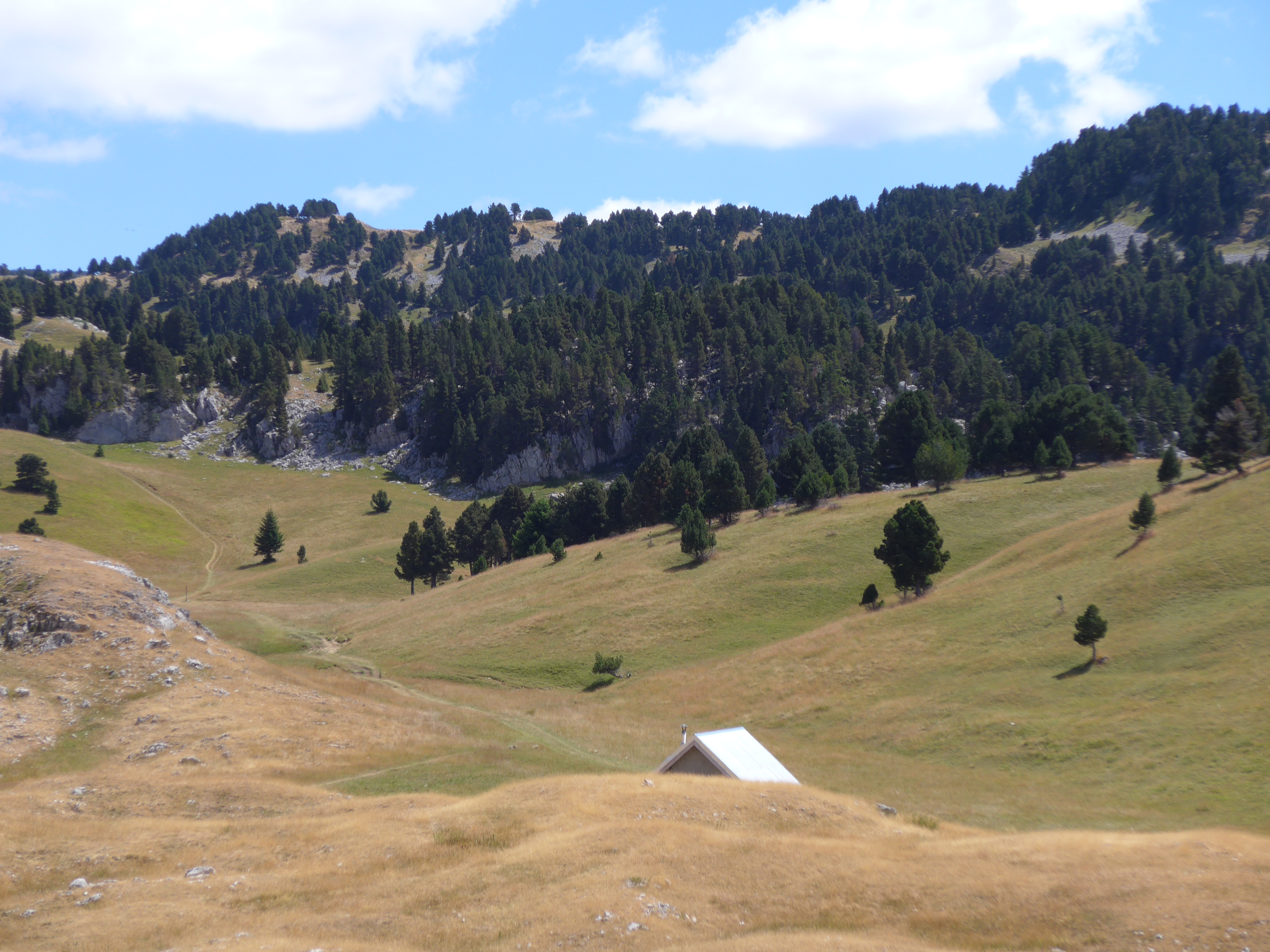 Les Hauts plateaux : Pré Peyret